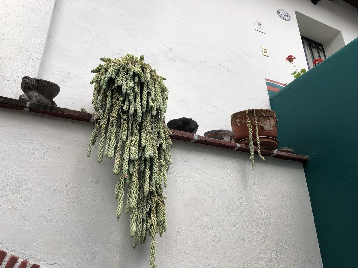 Meson Del Penasco Apartment Oaxaca Екстериор снимка